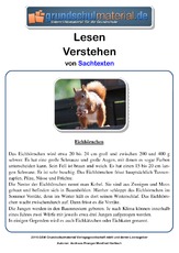 Eichhörnchen - Sachtext.pdf